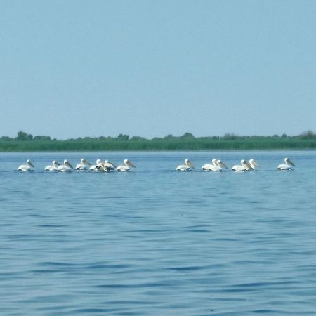 Gorgova Delta Village المظهر الخارجي الصورة