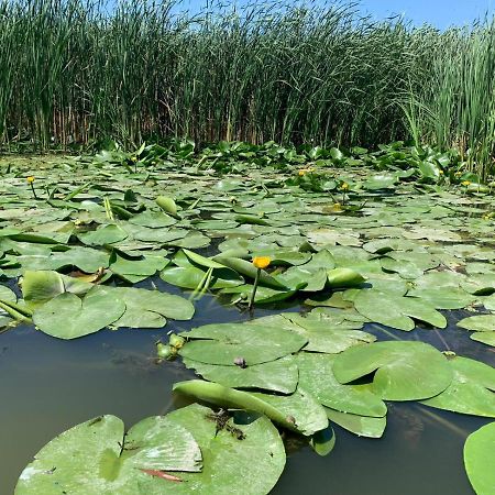 Gorgova Delta Village المظهر الخارجي الصورة