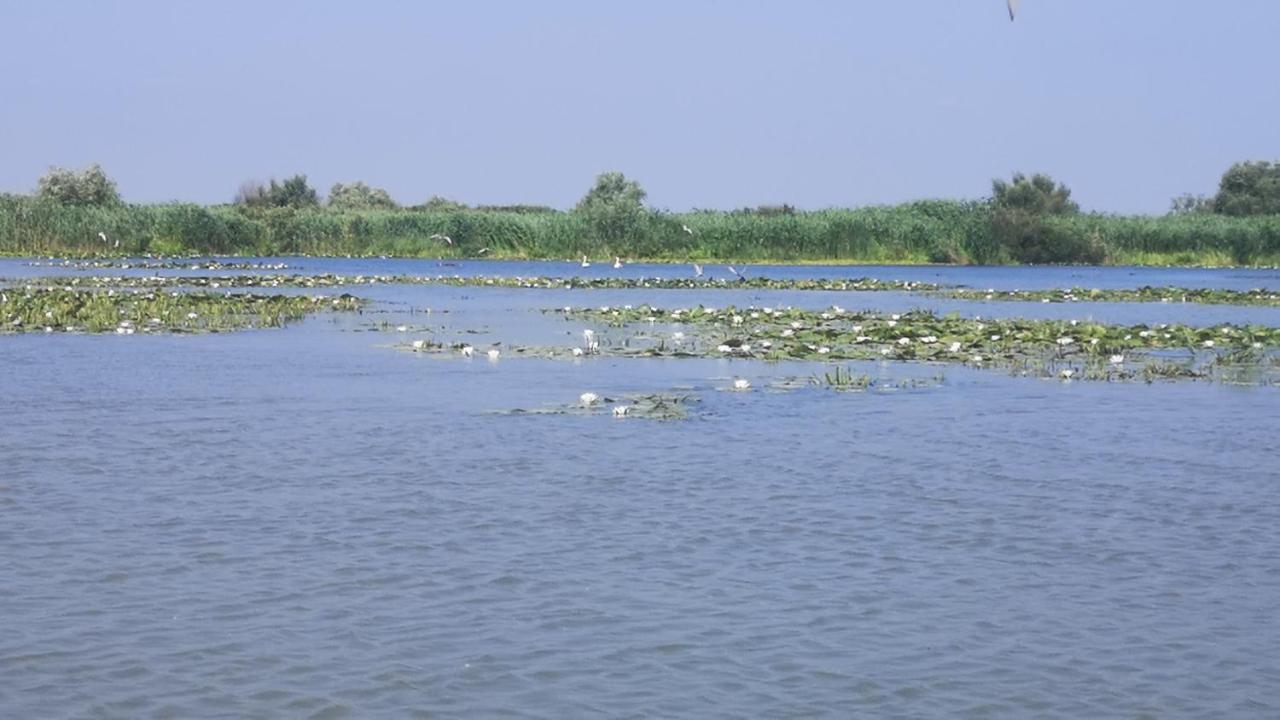 Gorgova Delta Village المظهر الخارجي الصورة