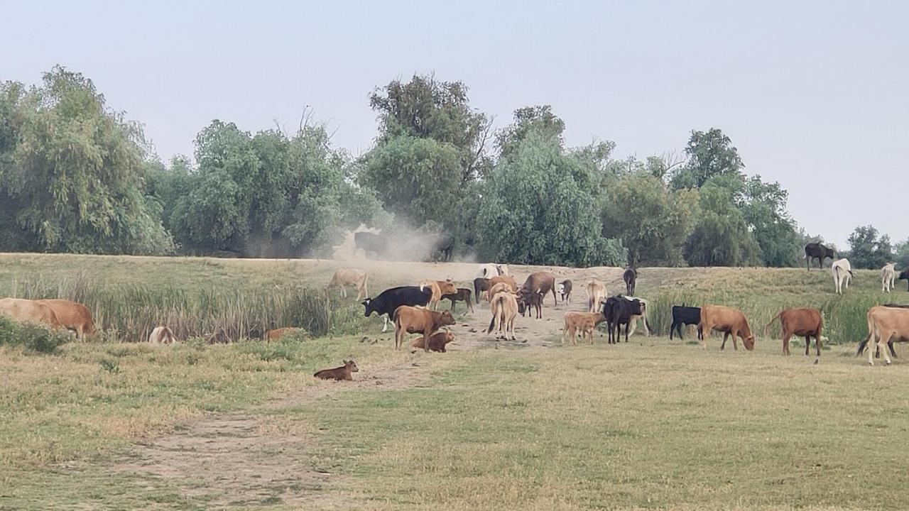 Gorgova Delta Village المظهر الخارجي الصورة